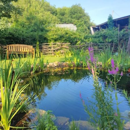 Gite En Bord De Loire Blaison-Saint-Sulpice 外观 照片