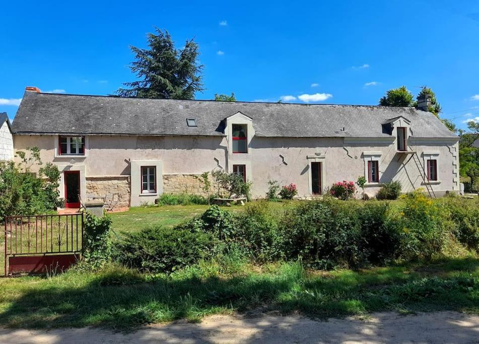 Gite En Bord De Loire Blaison-Saint-Sulpice 外观 照片
