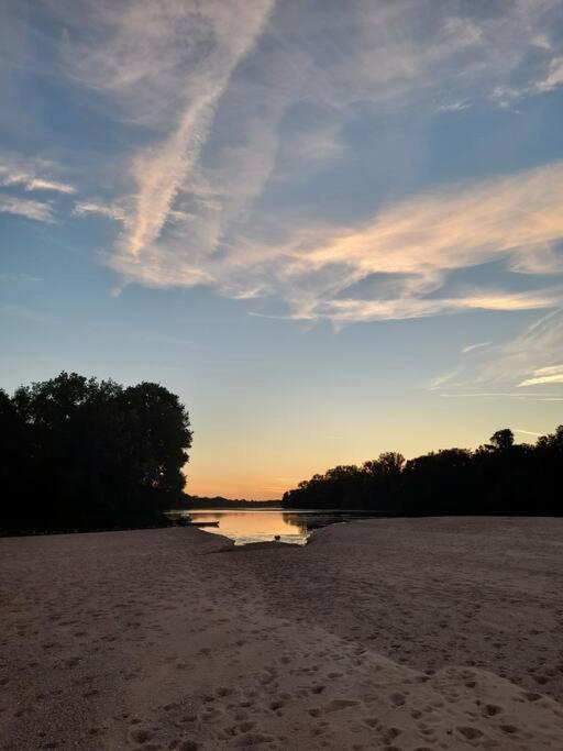 Gite En Bord De Loire Blaison-Saint-Sulpice 外观 照片