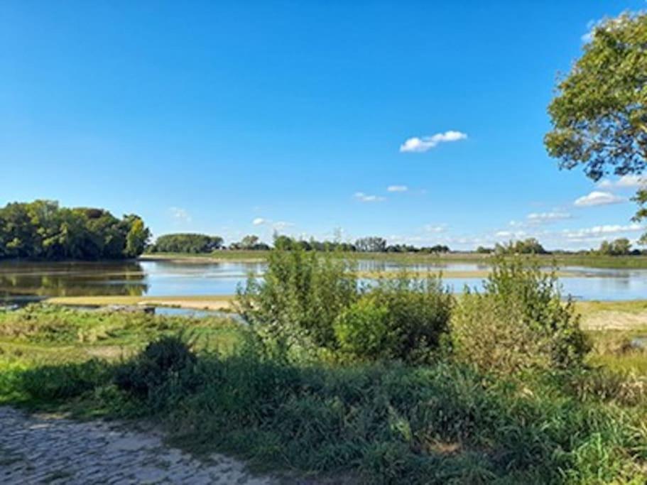 Gite En Bord De Loire Blaison-Saint-Sulpice 外观 照片