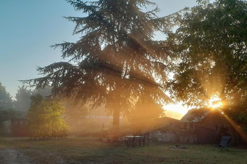Gite En Bord De Loire Blaison-Saint-Sulpice 外观 照片