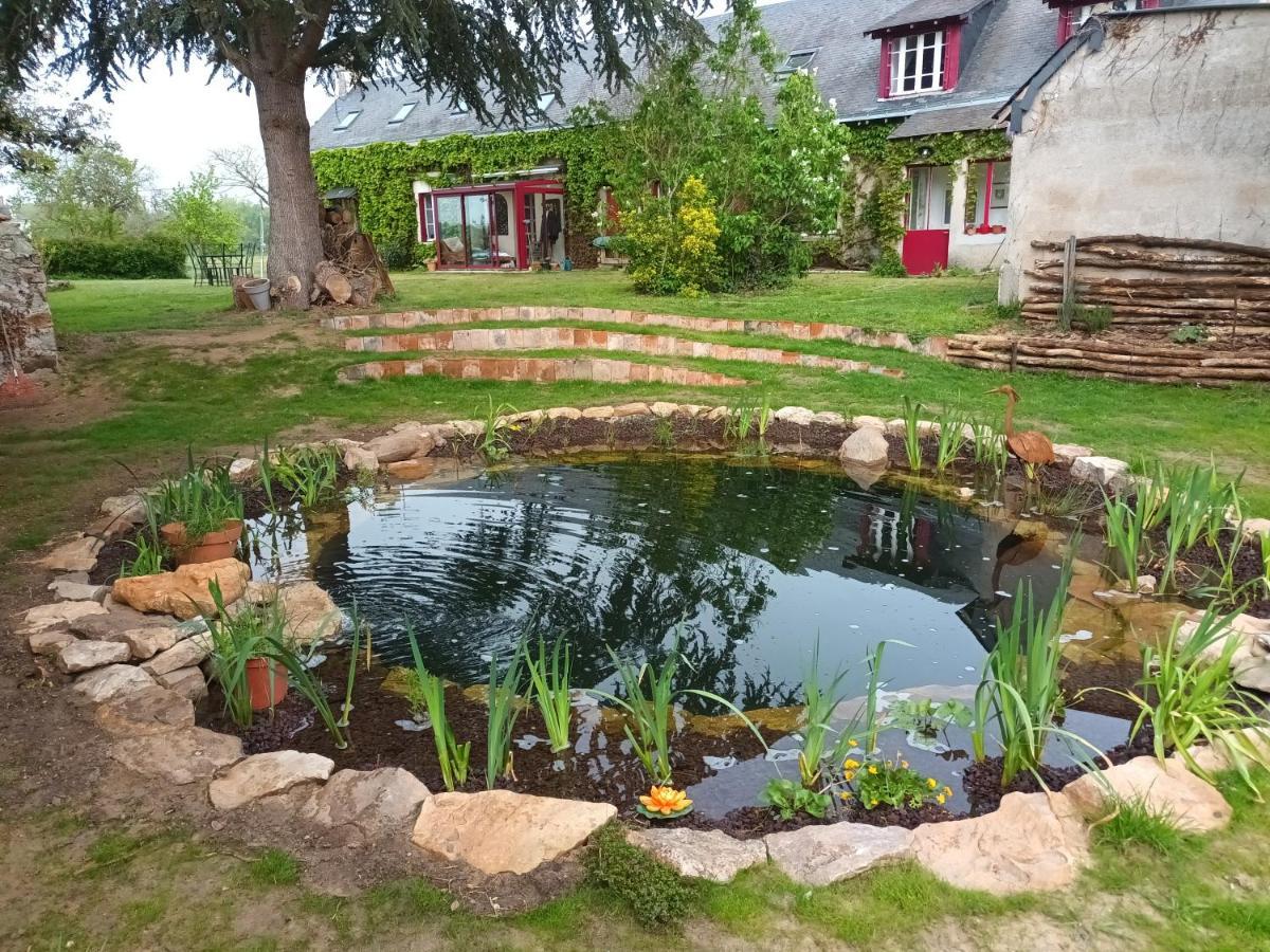 Gite En Bord De Loire Blaison-Saint-Sulpice 外观 照片
