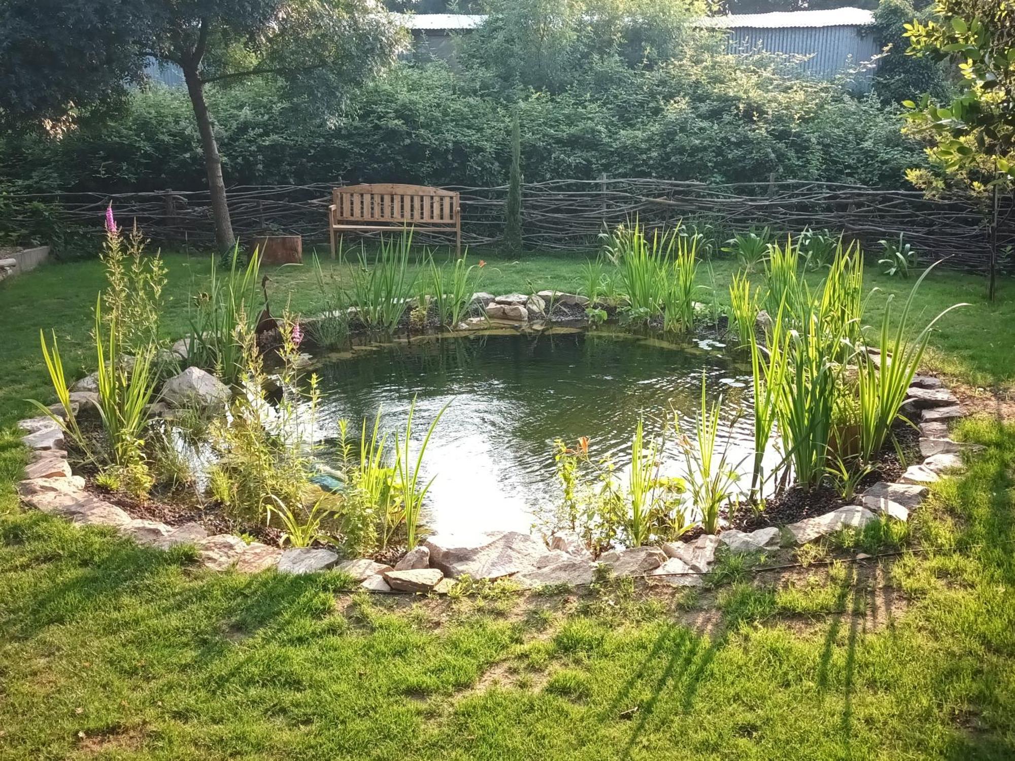 Gite En Bord De Loire Blaison-Saint-Sulpice 客房 照片